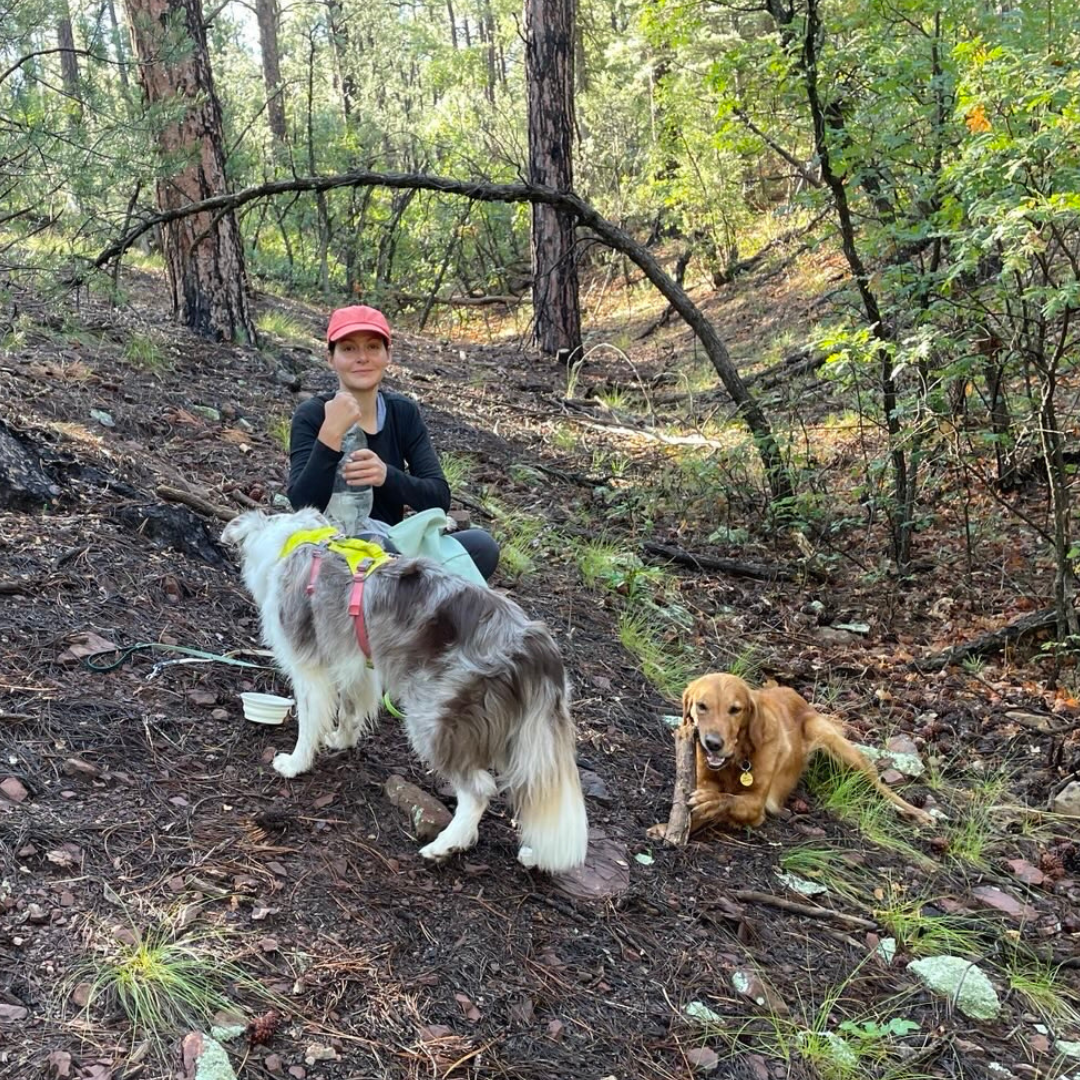 SpiritDog Training Facebook ad