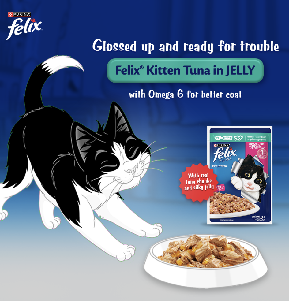 PURINA Philippines Facebook ad