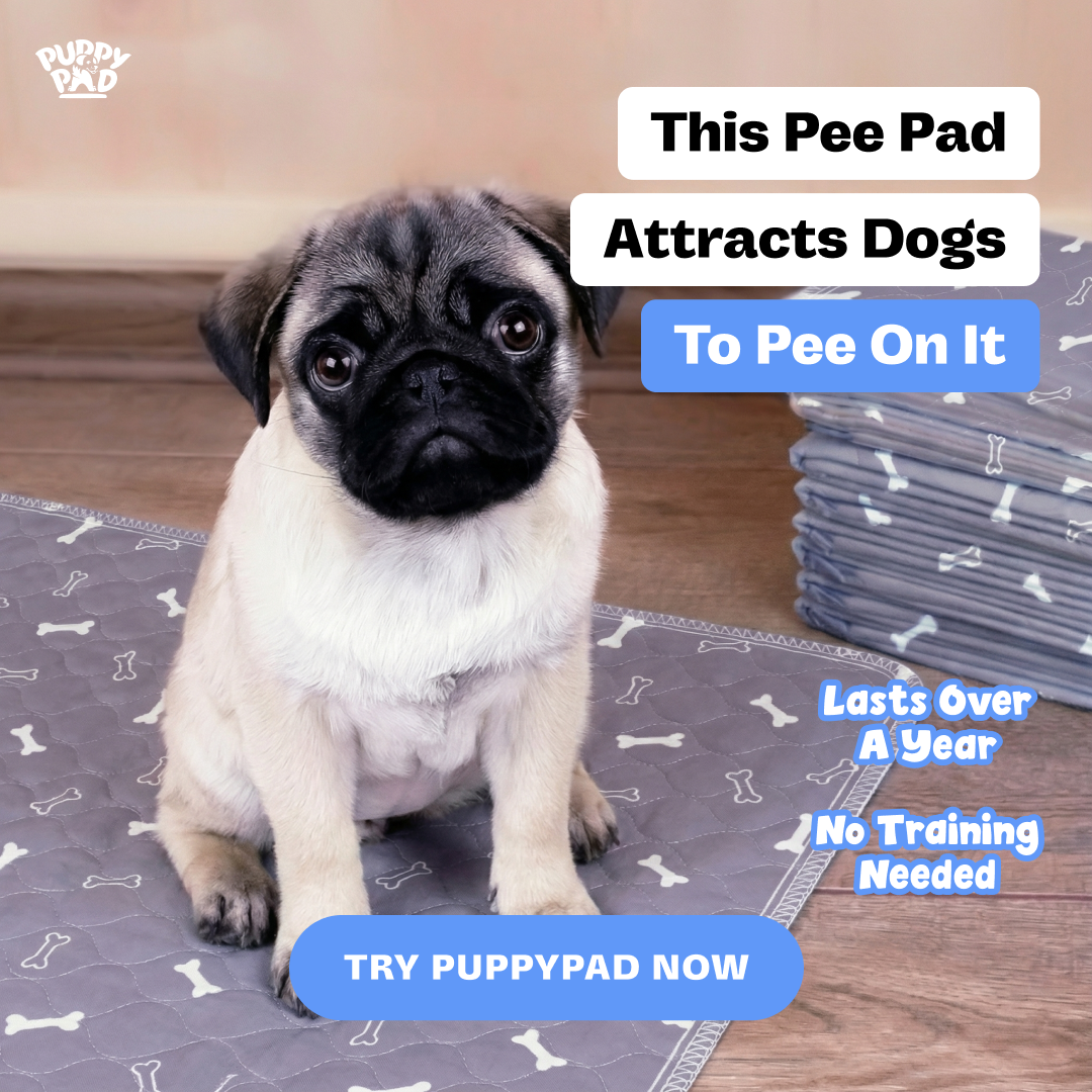 PuppyPad Facebook ad