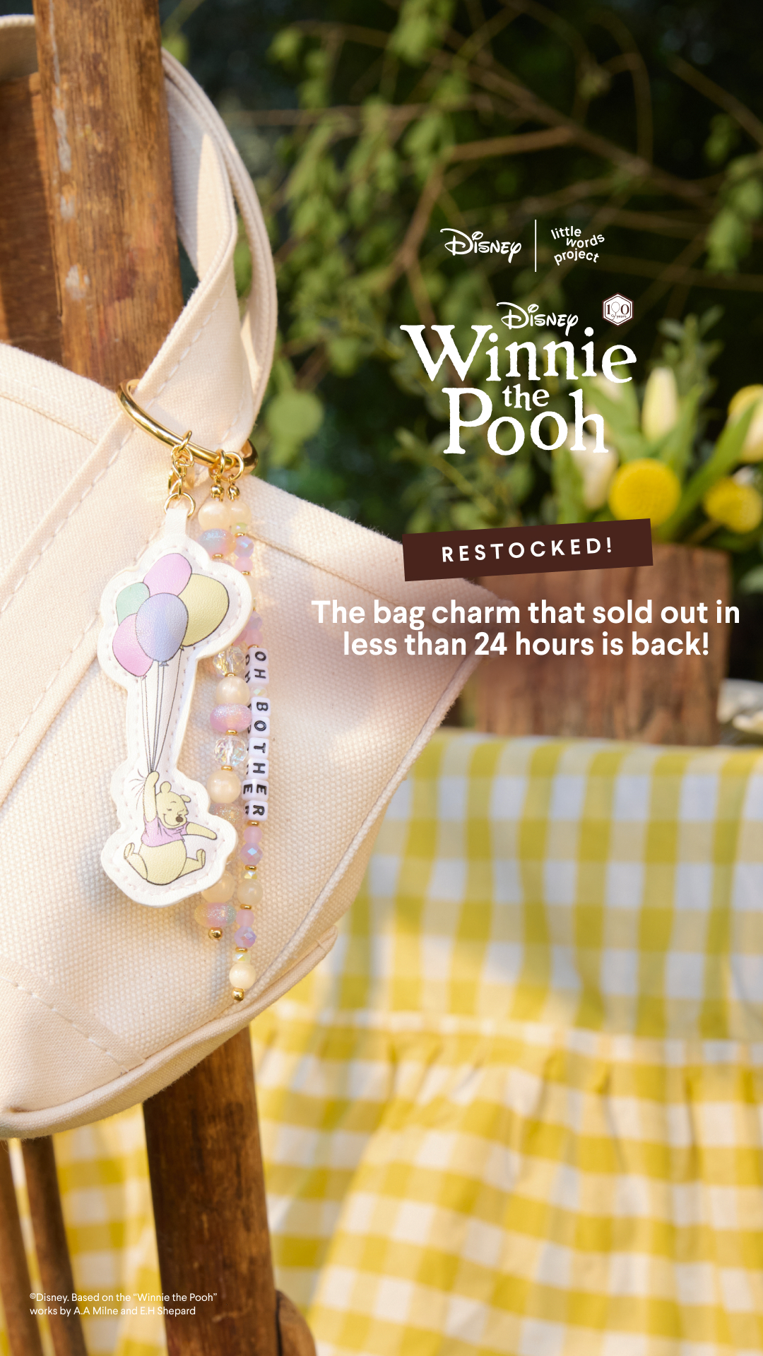 Little Words Project Facebook ad