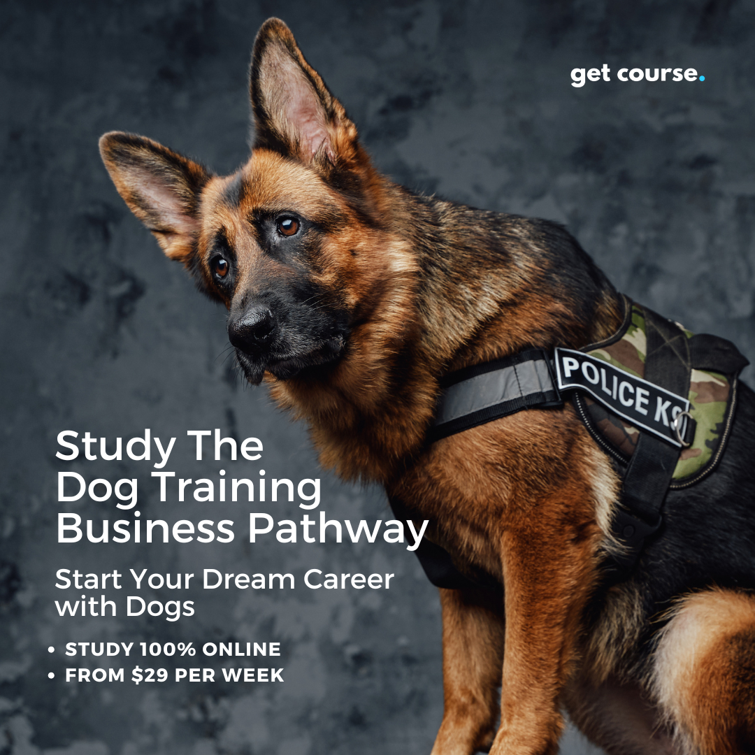 Get Course Co Facebook ad