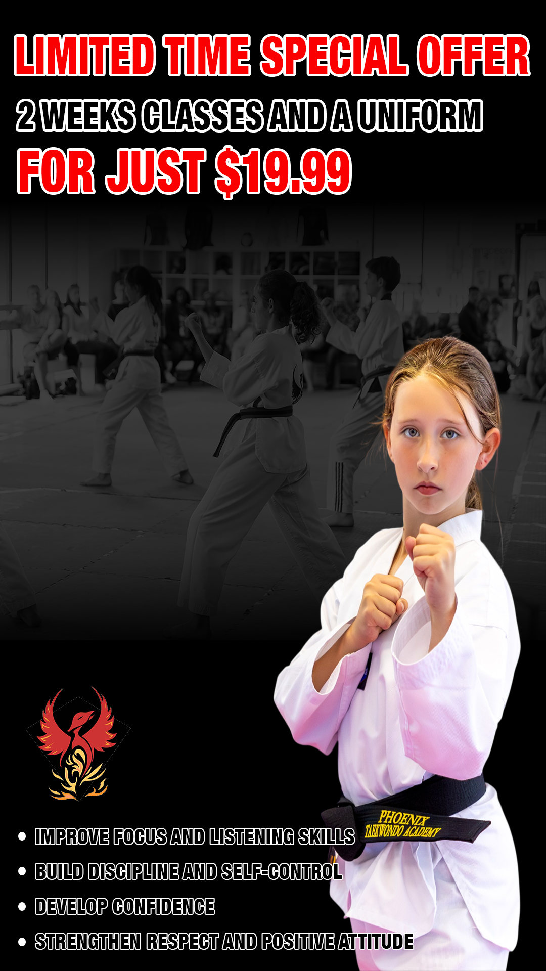 Phoenix Taekwondo  Martial Arts Academy Facebook ad