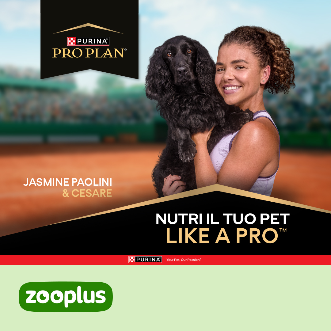 zooplus Facebook ad