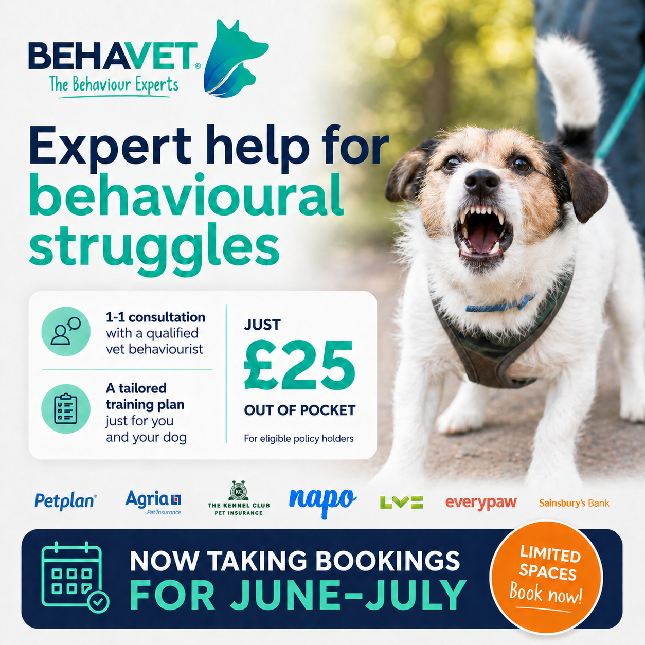Behavet: The Pet Behaviour Experts Facebook ad