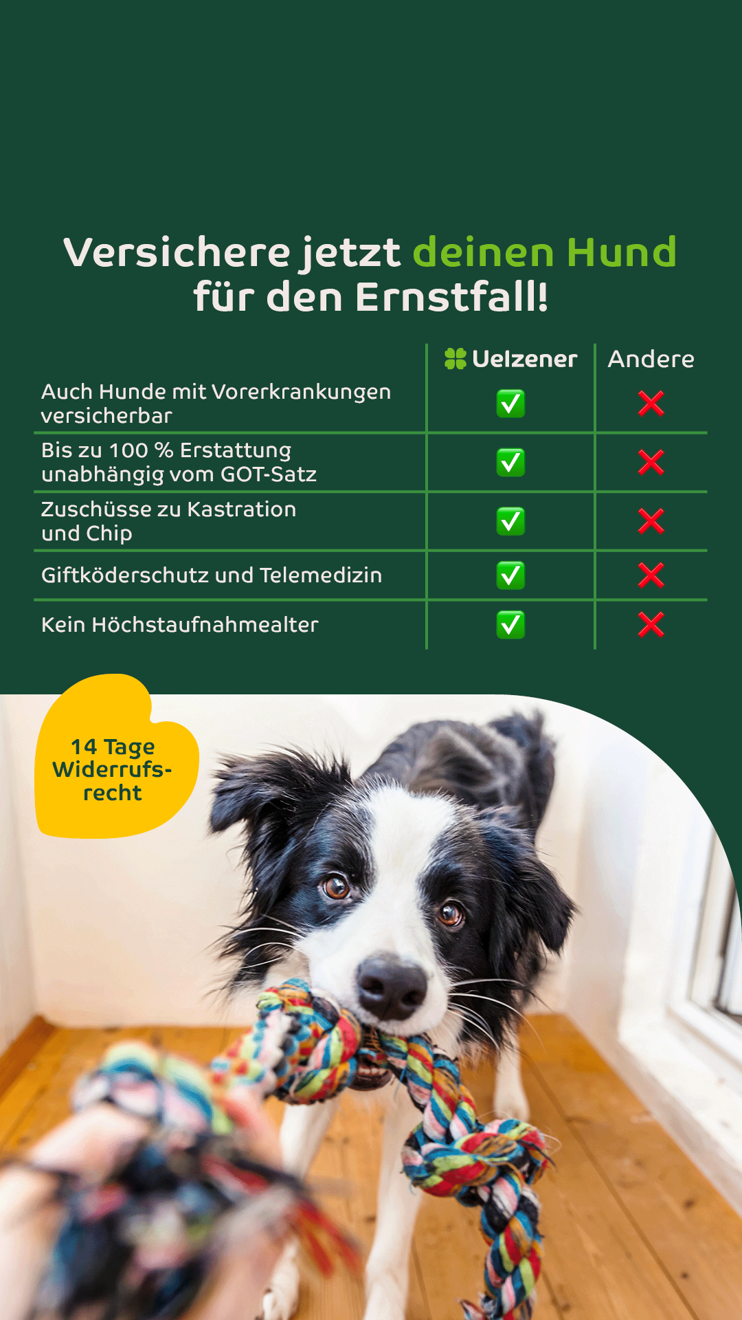 Uelzener Versicherungen Facebook ad