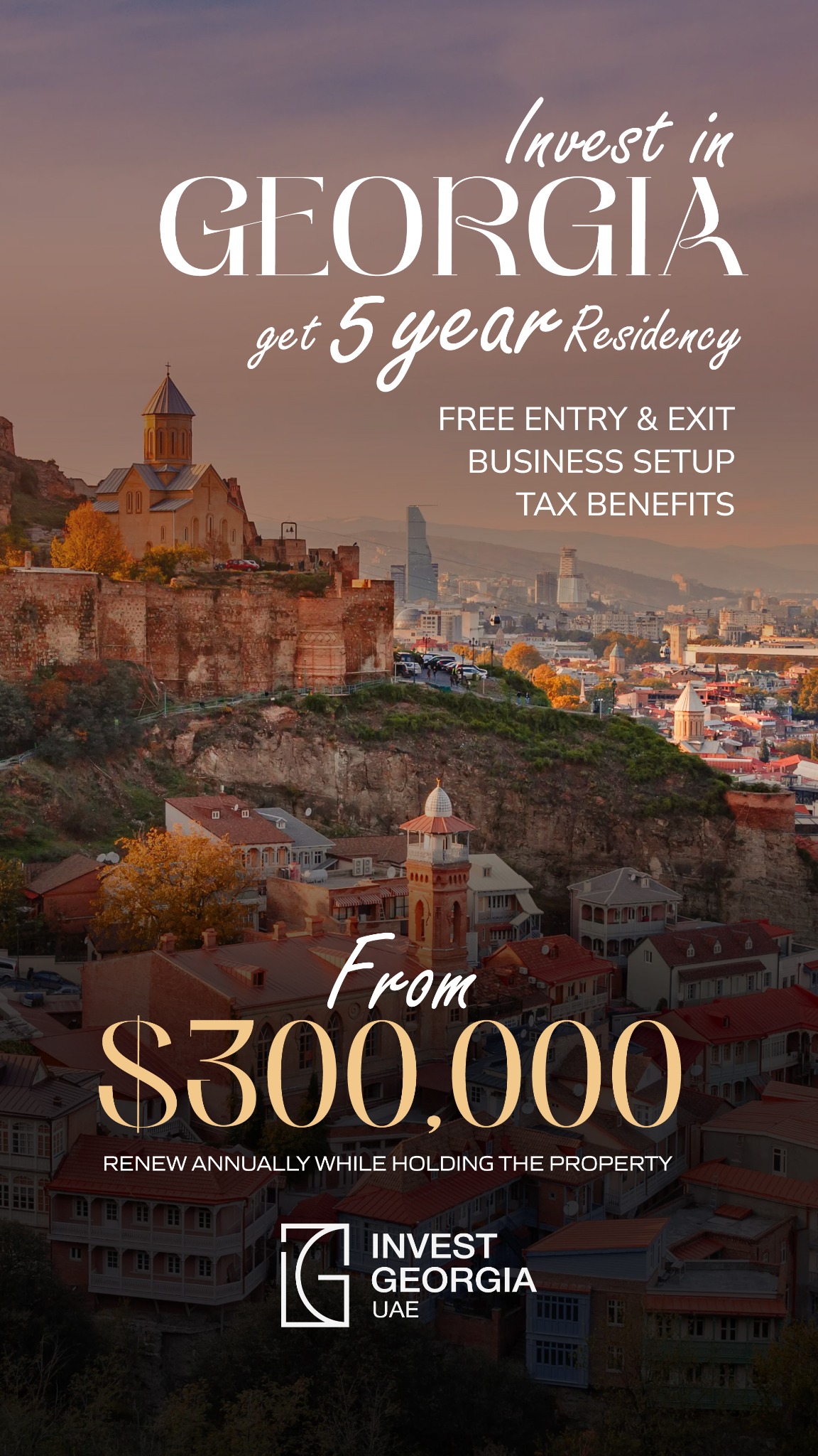 Invest In Georgia Facebook ad