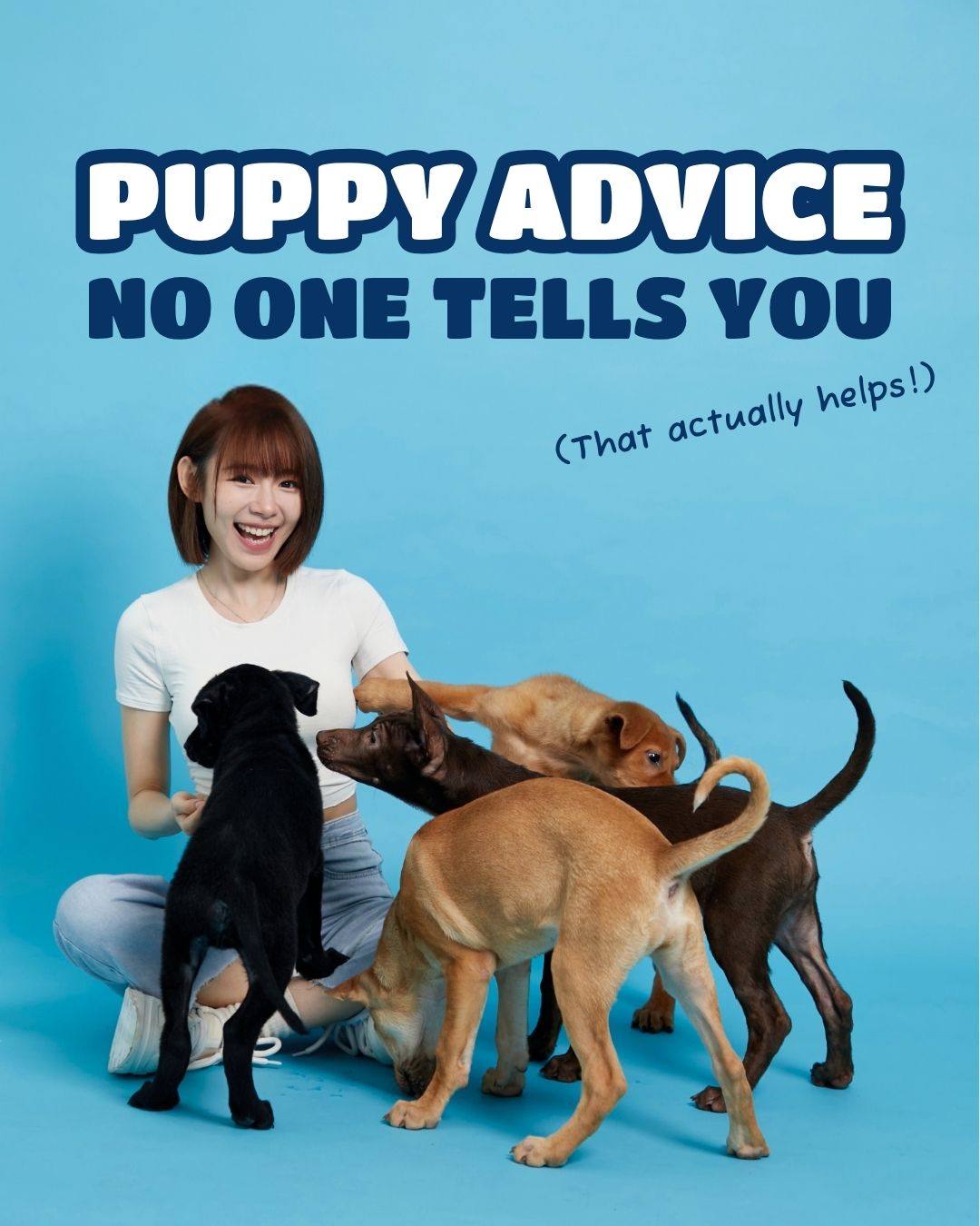 Buddy Bites - SG Facebook ad: What we wished more people knew about puppies.