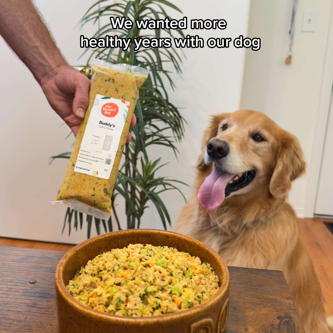 So Yummy Facebook ad: The Farmer’s Dog makes fresh food for dogs…