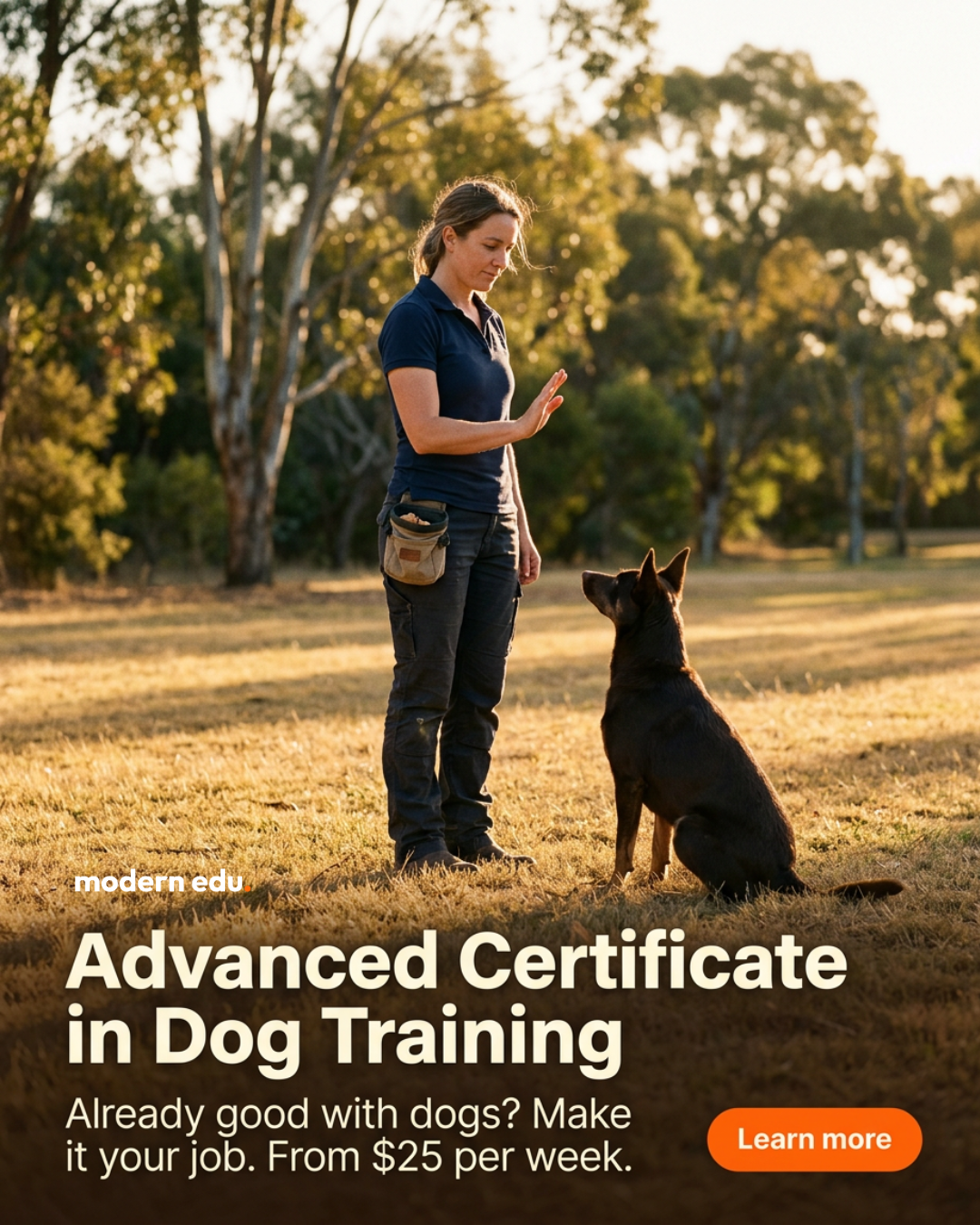 Modern Edu Australia Facebook ad