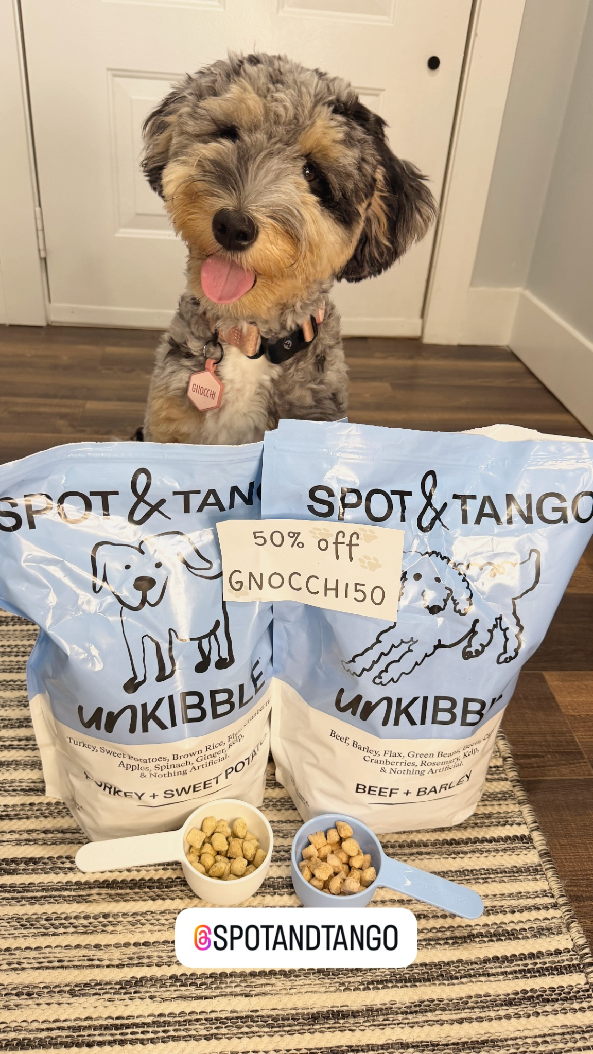 Helloitsgnocchi Facebook ad
