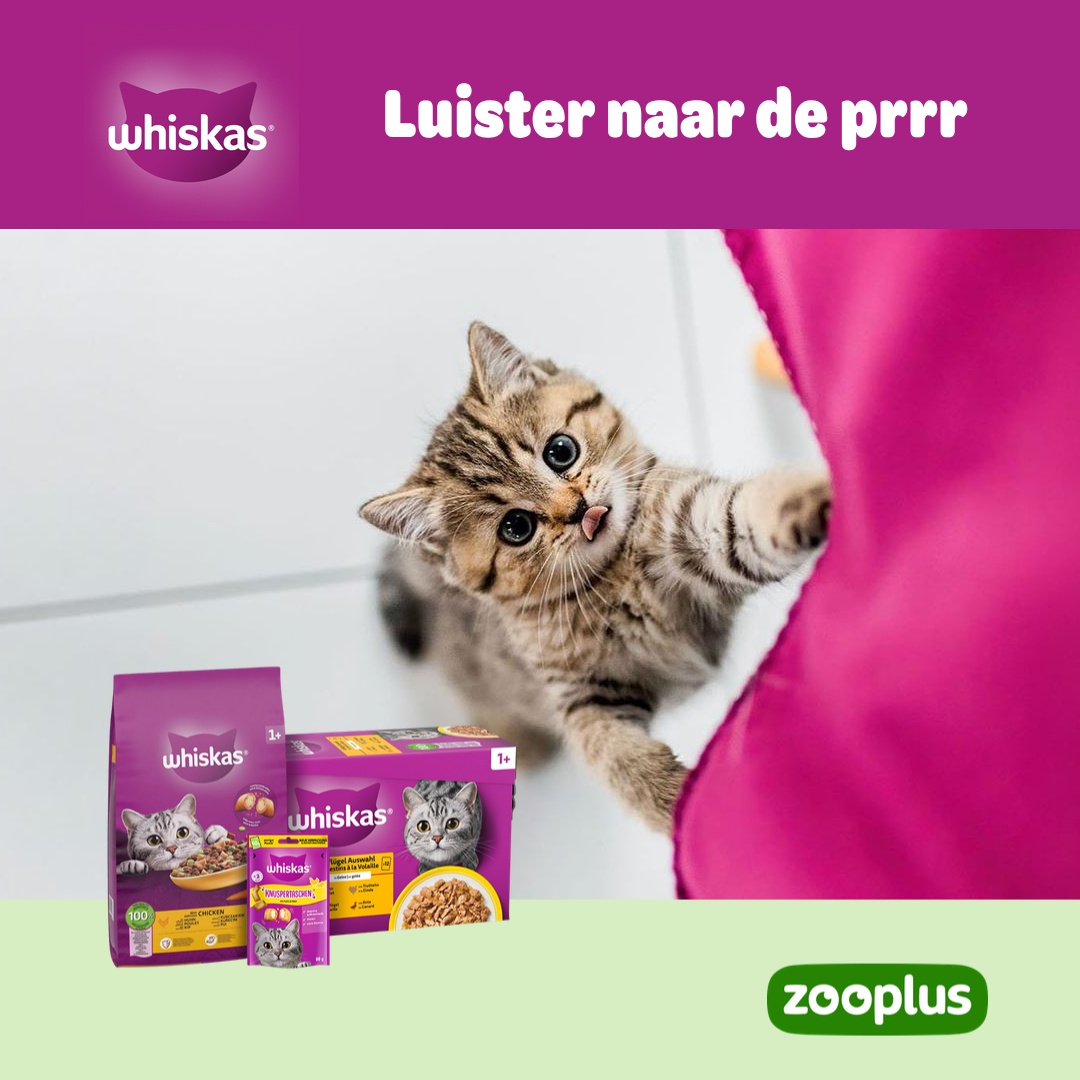 zooplus Facebook ad: WHISKAS