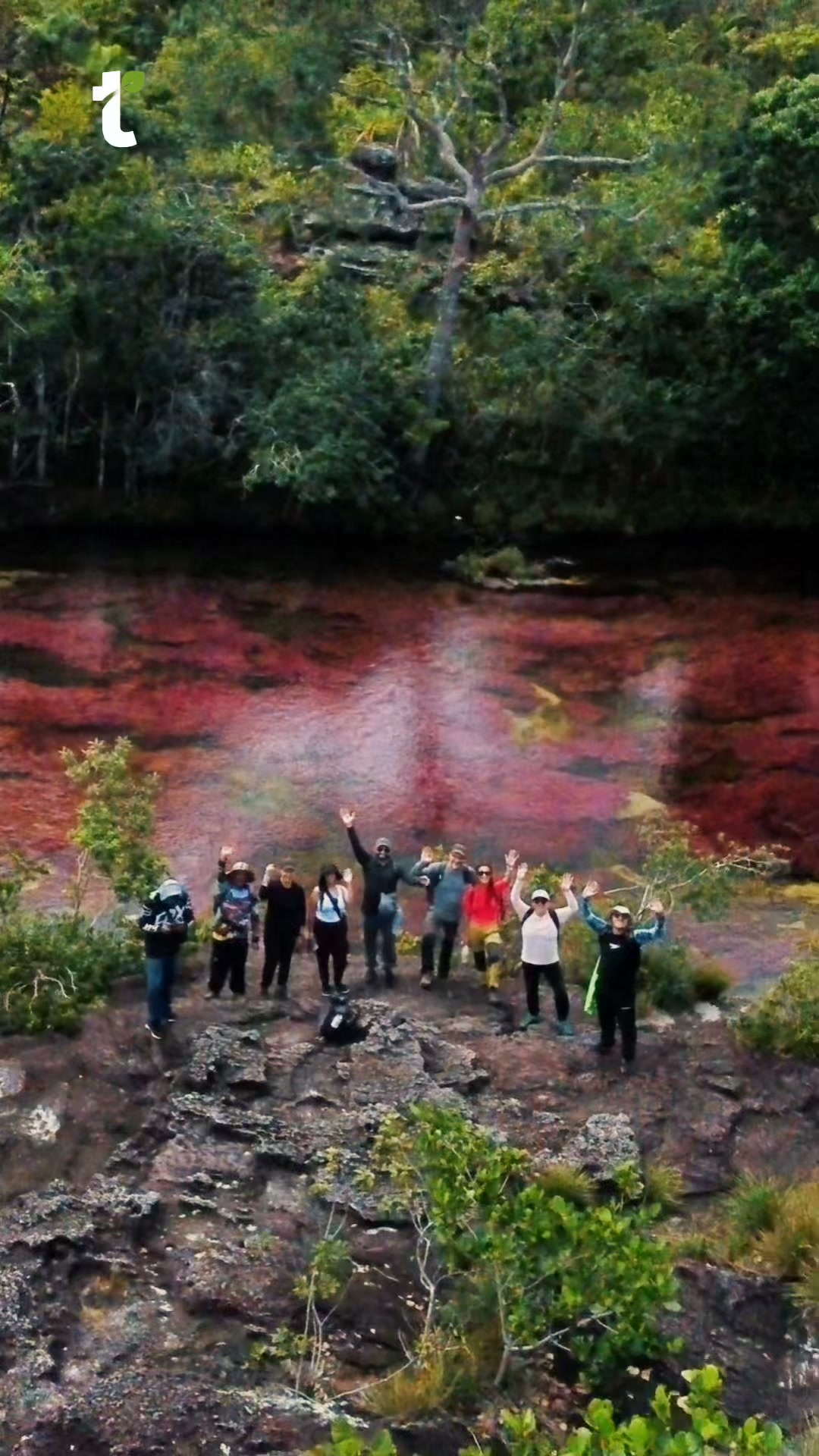 travelgreen.com.co Facebook ad: ¡Vive la magia de Caño Cristales!