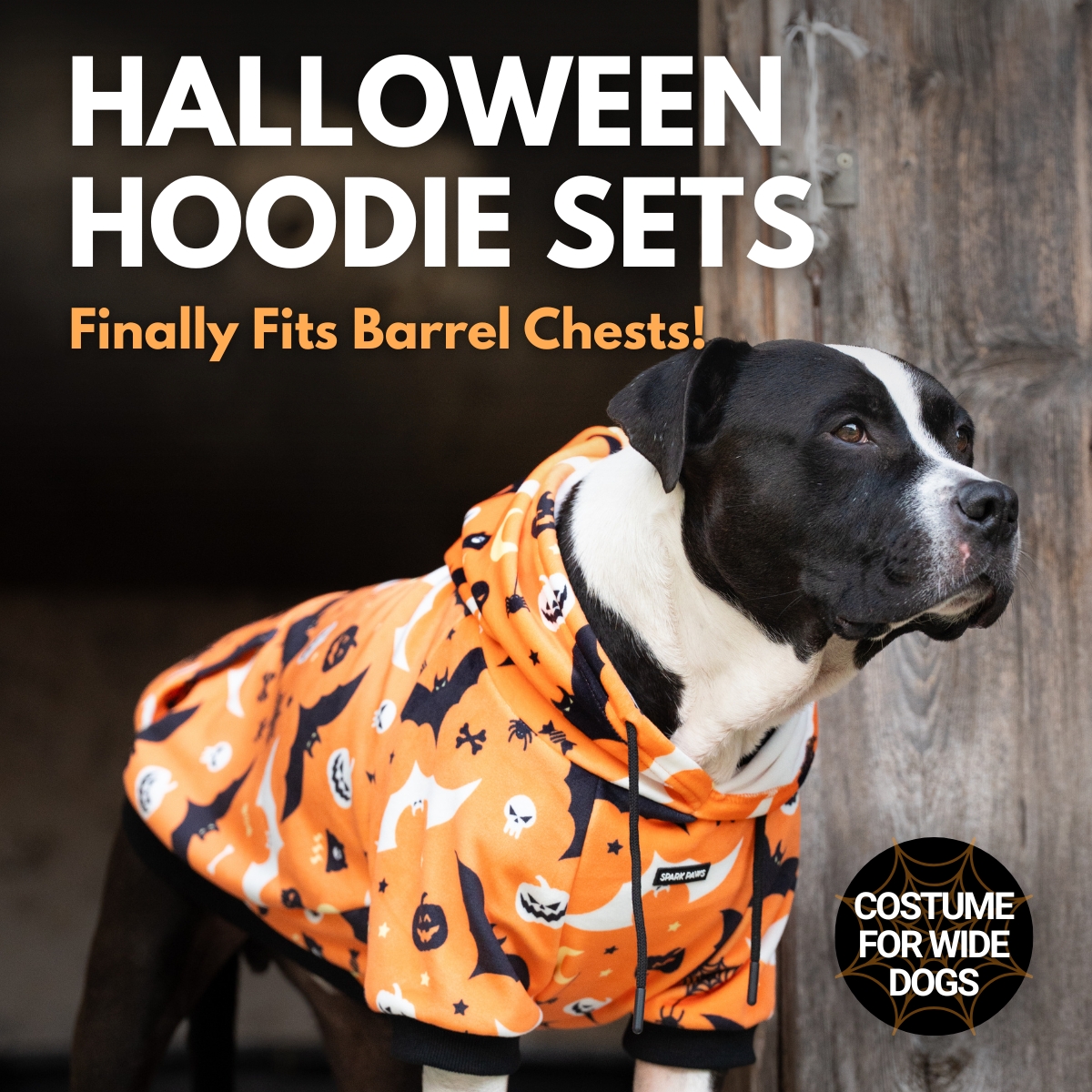 Spark Paws Facebook ad
