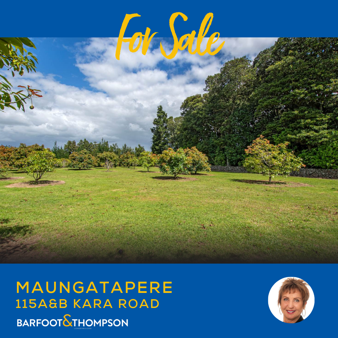 Barfoot & Thompson Whangarei Facebook ad: Prime Kara Road Land Holdings