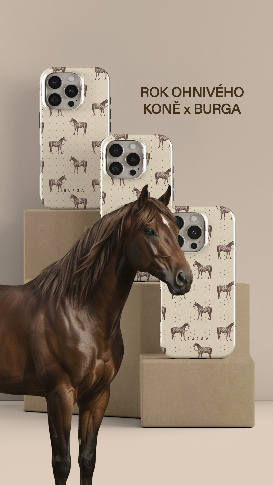 BURGA Facebook ad