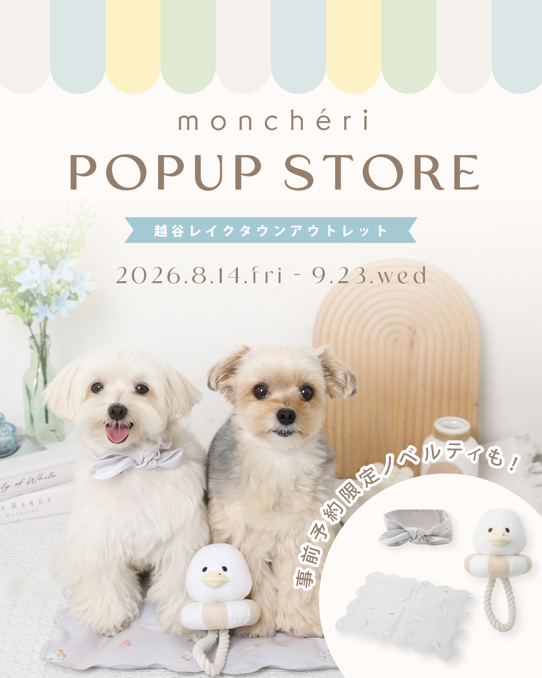 Monchéri Facebook ad