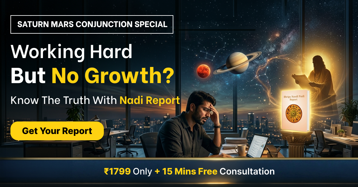 Nadi Astrology Insights Facebook ad