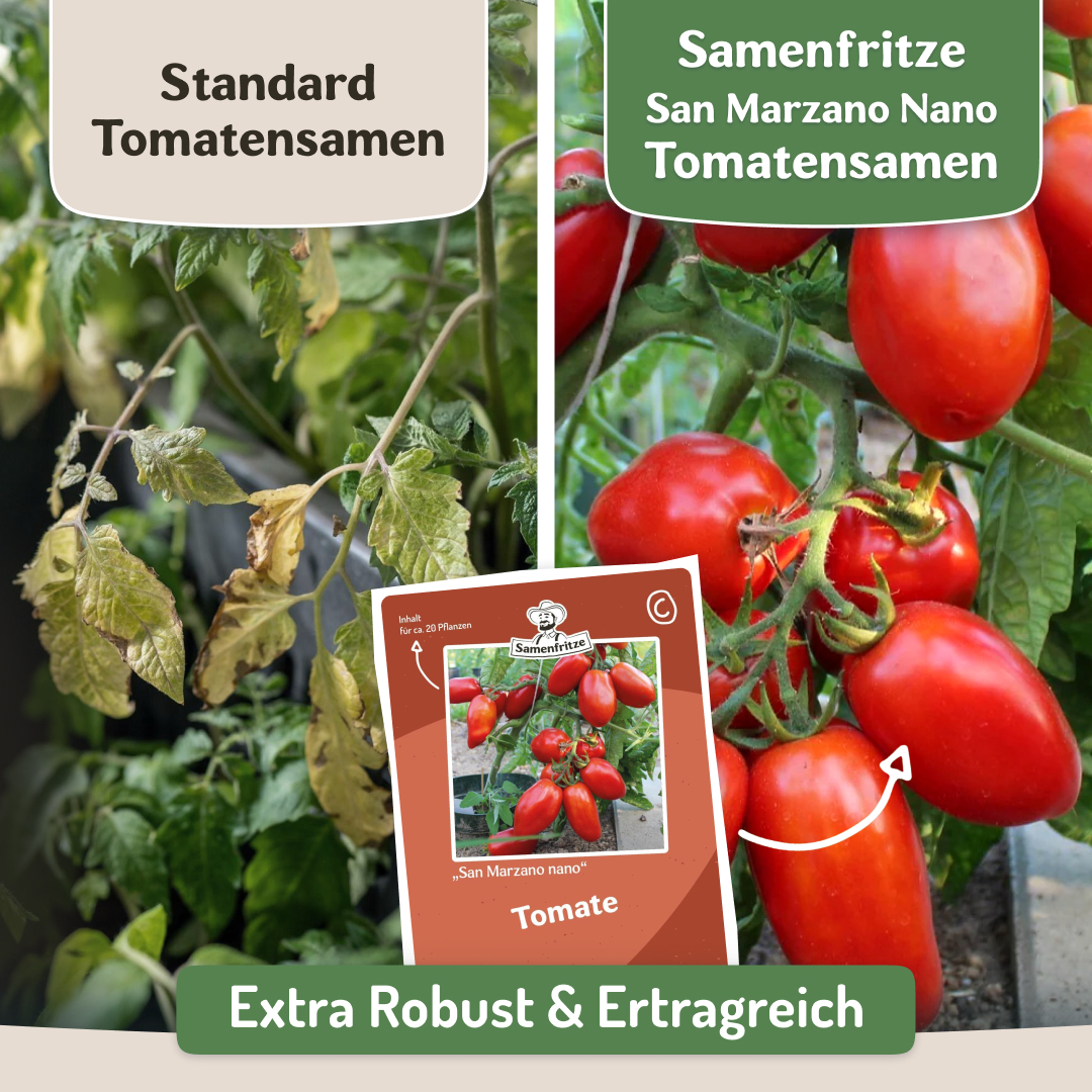 Samenfritze Facebook ad
