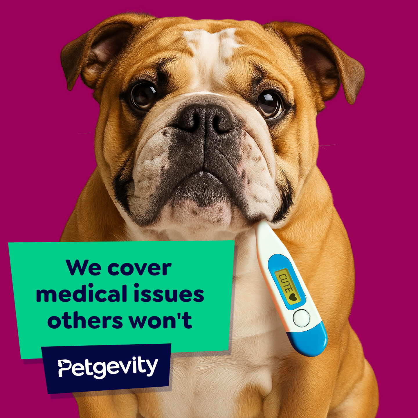 Petgevity UK Facebook ad