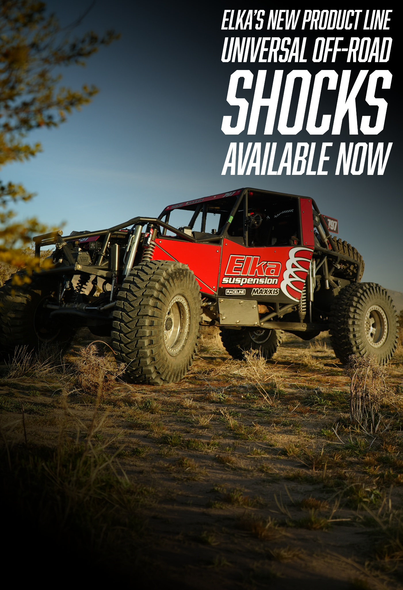 Elka Suspension Facebook ad from Jun 8, 2026