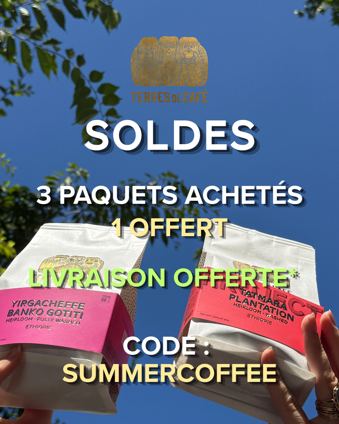 Terres de café Facebook ad