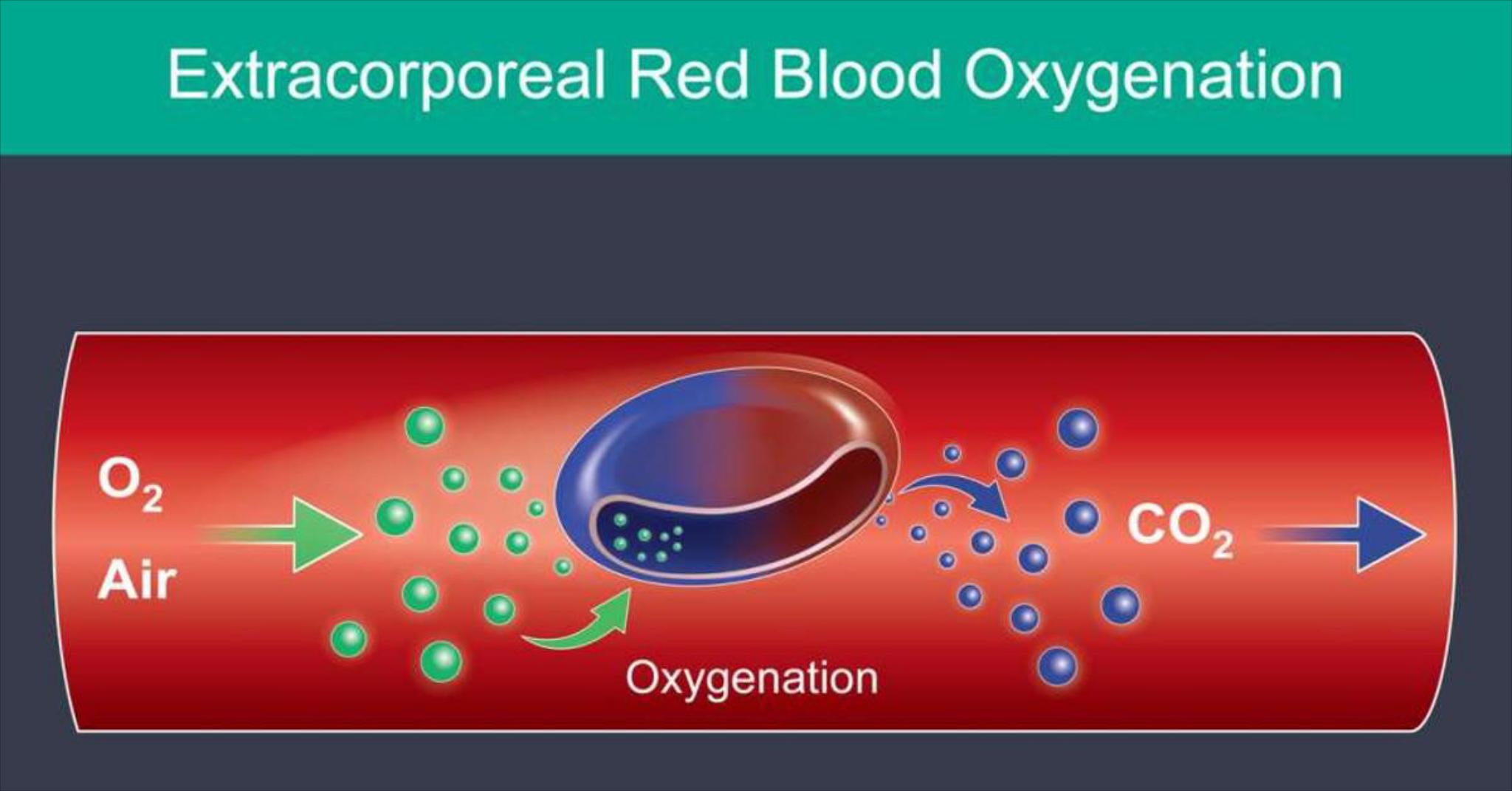 Colts Neck Stem Cells and Regenerative Medicine Facebook ad: Colts Neck Stem Cells