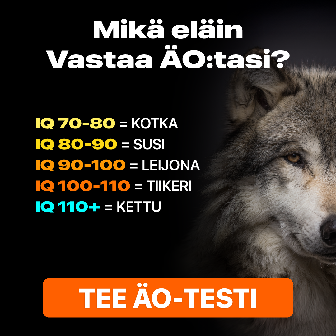My IQ Facebook ad