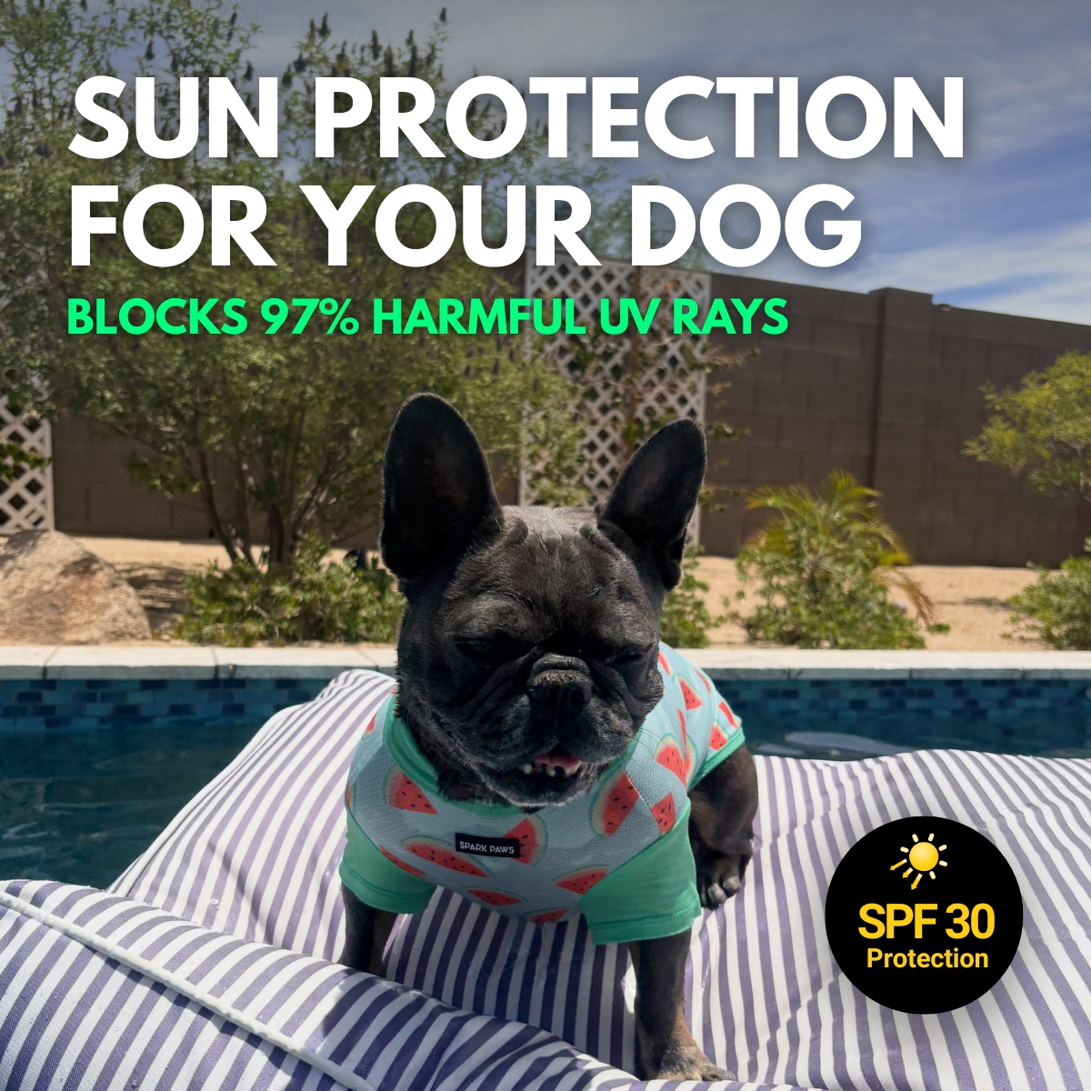 Spark Paws Facebook ad