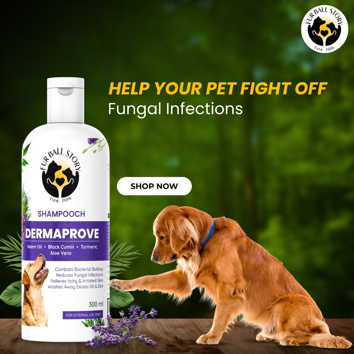 jimmydoggo_ Facebook ad from Aug 6, 2026