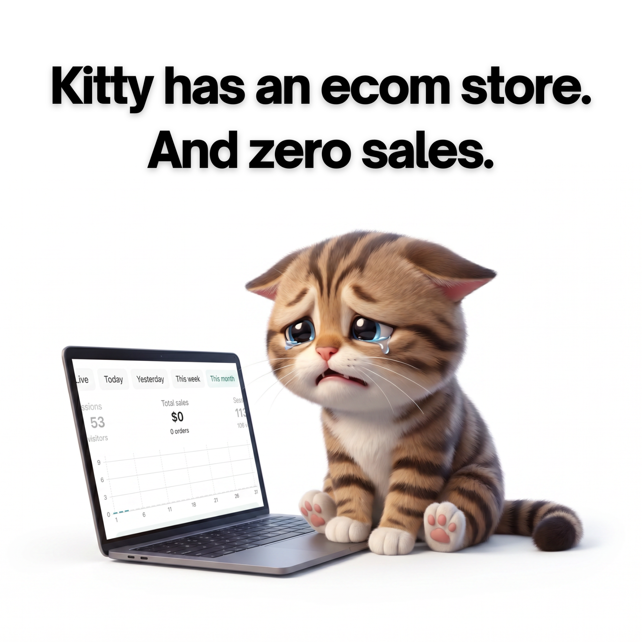Velox Agency Facebook ad: Ecommerce store owners: this is Kitty.