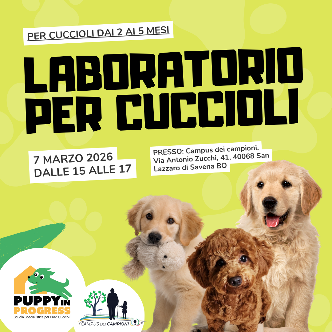 Puppy in Progress - Scuola specialistica per bravi cuccioli Facebook ad: Iscriviti ora