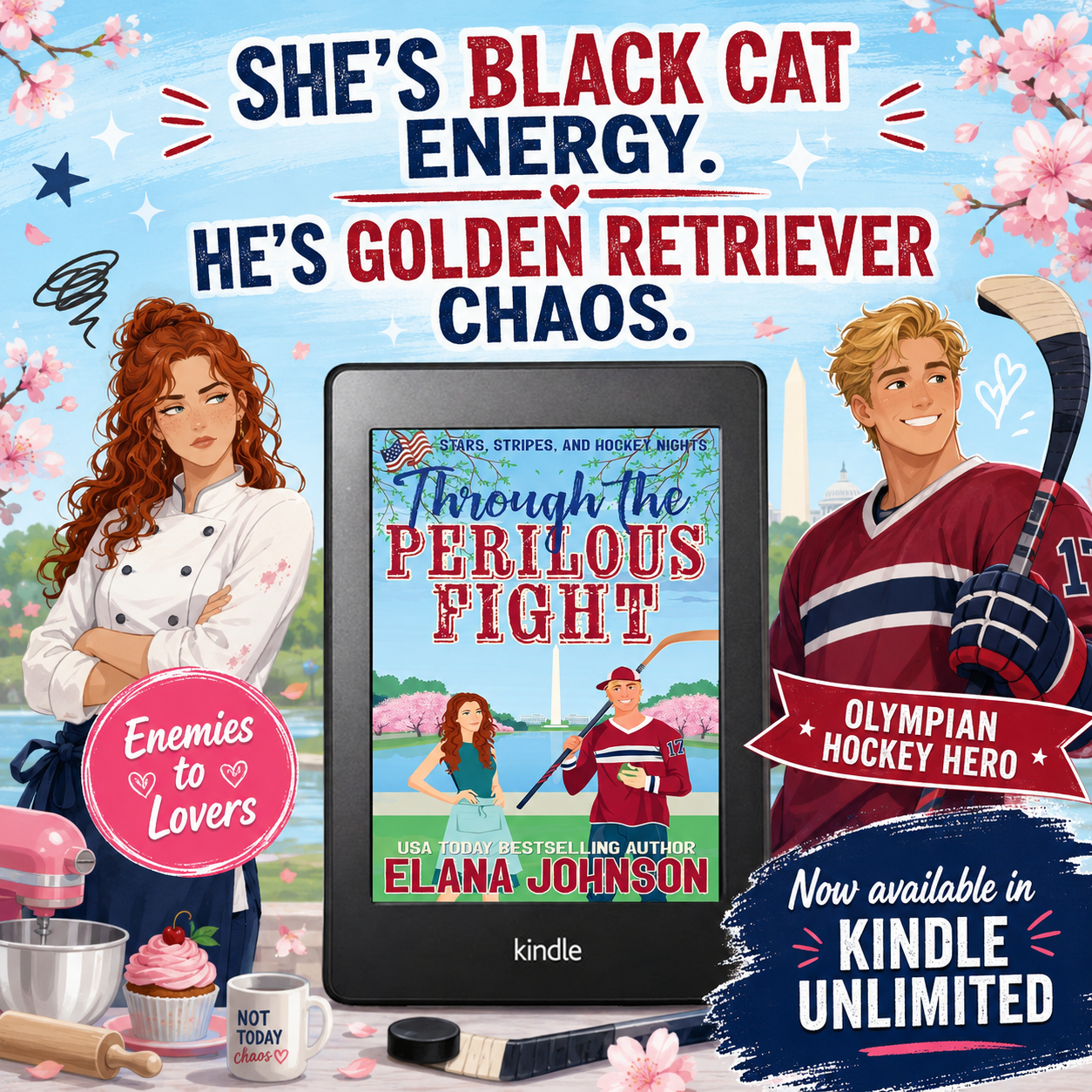 Author Elana Johnson Facebook ad