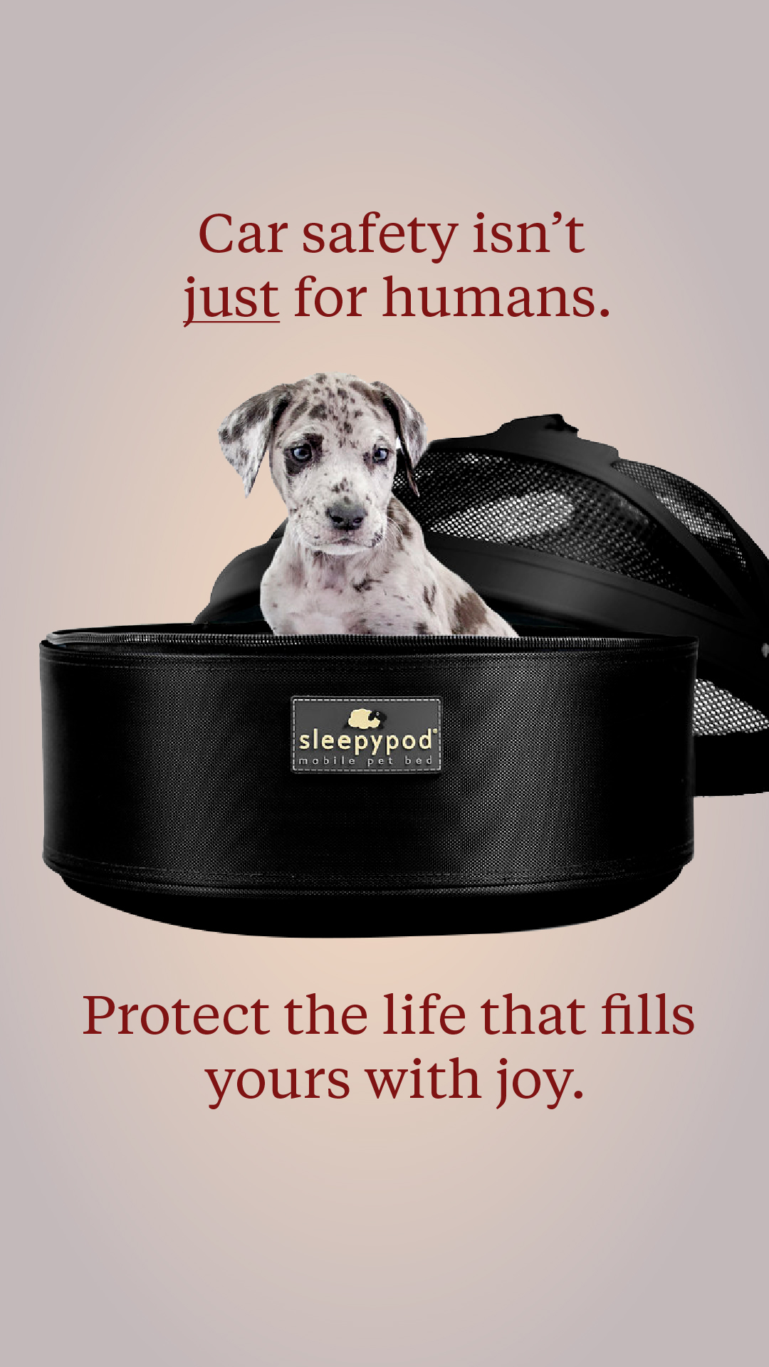 Sleepypod Facebook ad