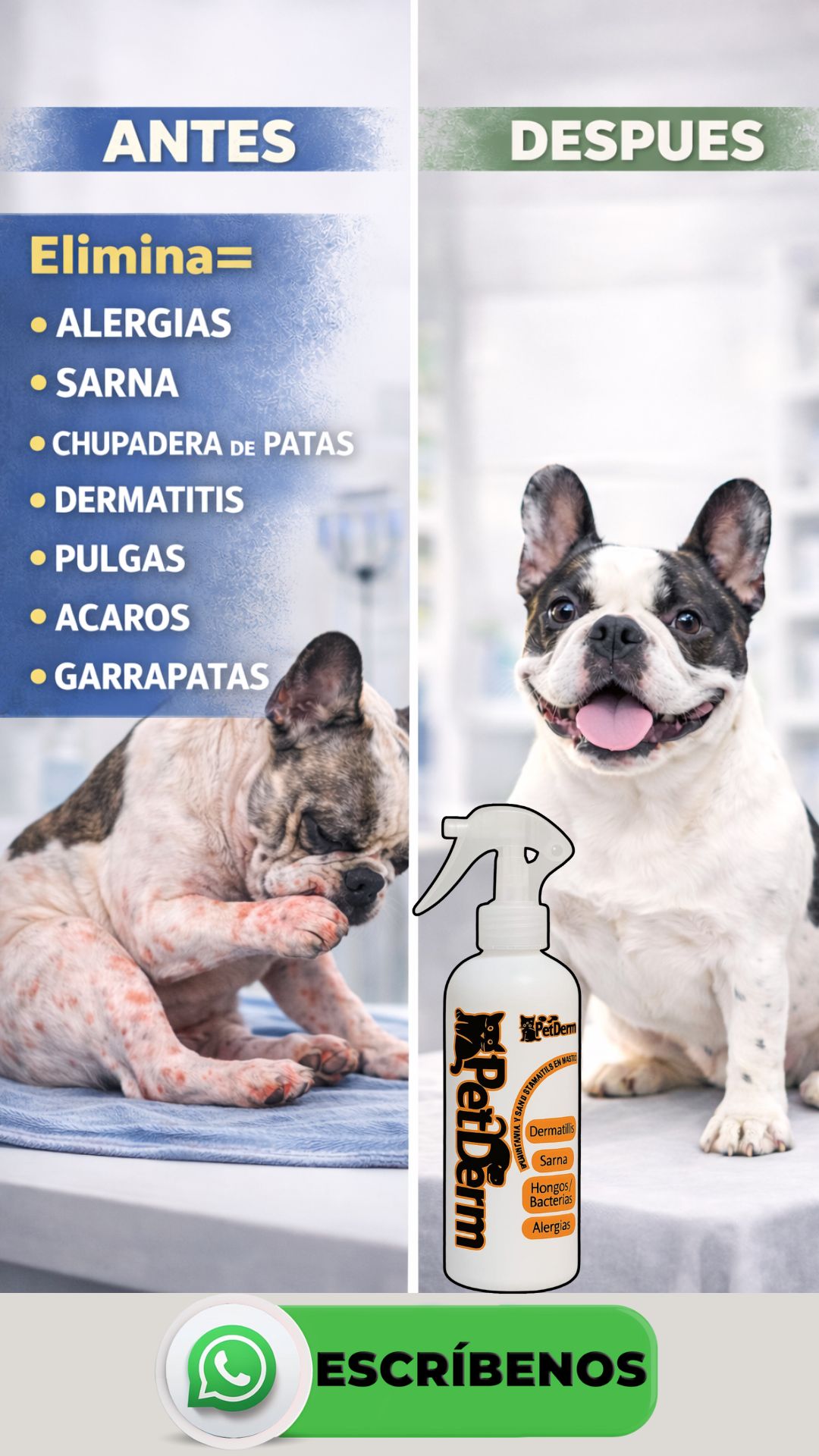 Tienda LMS Facebook ad