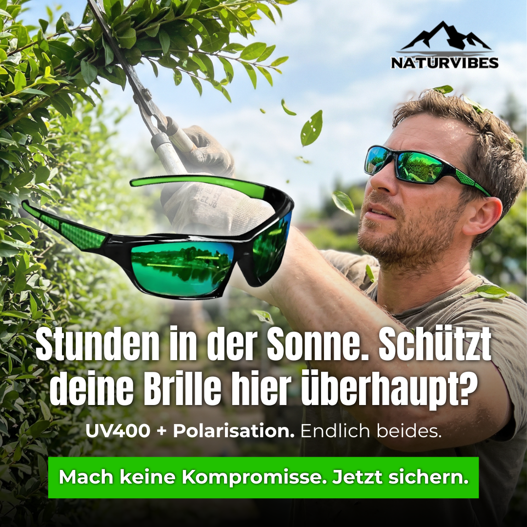NaturVibes Facebook ad