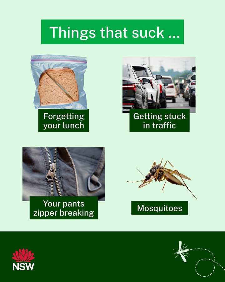 NSW Health Facebook ad: Some things in life can suck but mozzies…