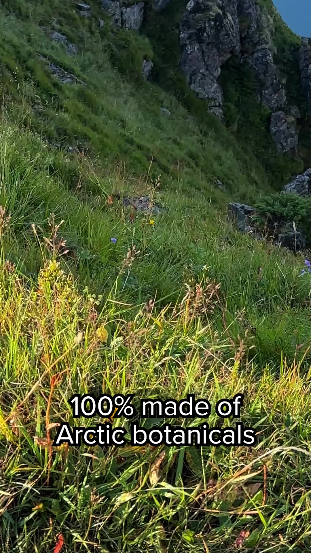 Frøya Organics Facebook ad: Ultra-Potent Natural Skincare