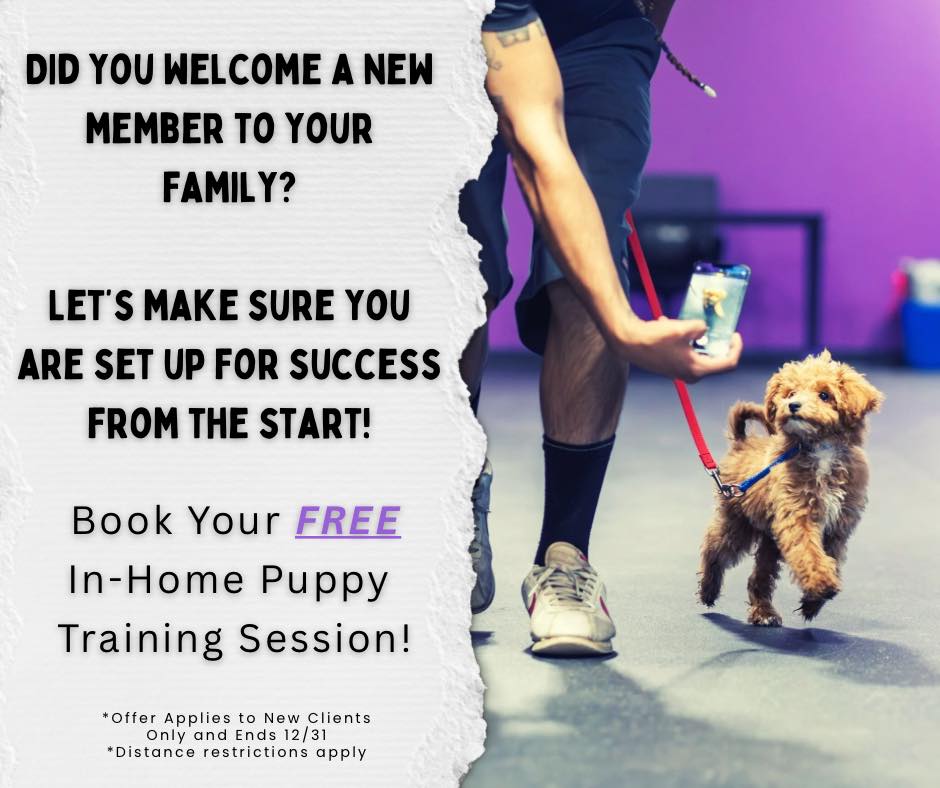West Tennessee K-9 Facebook ad: Contact Us - West Tennessee K9