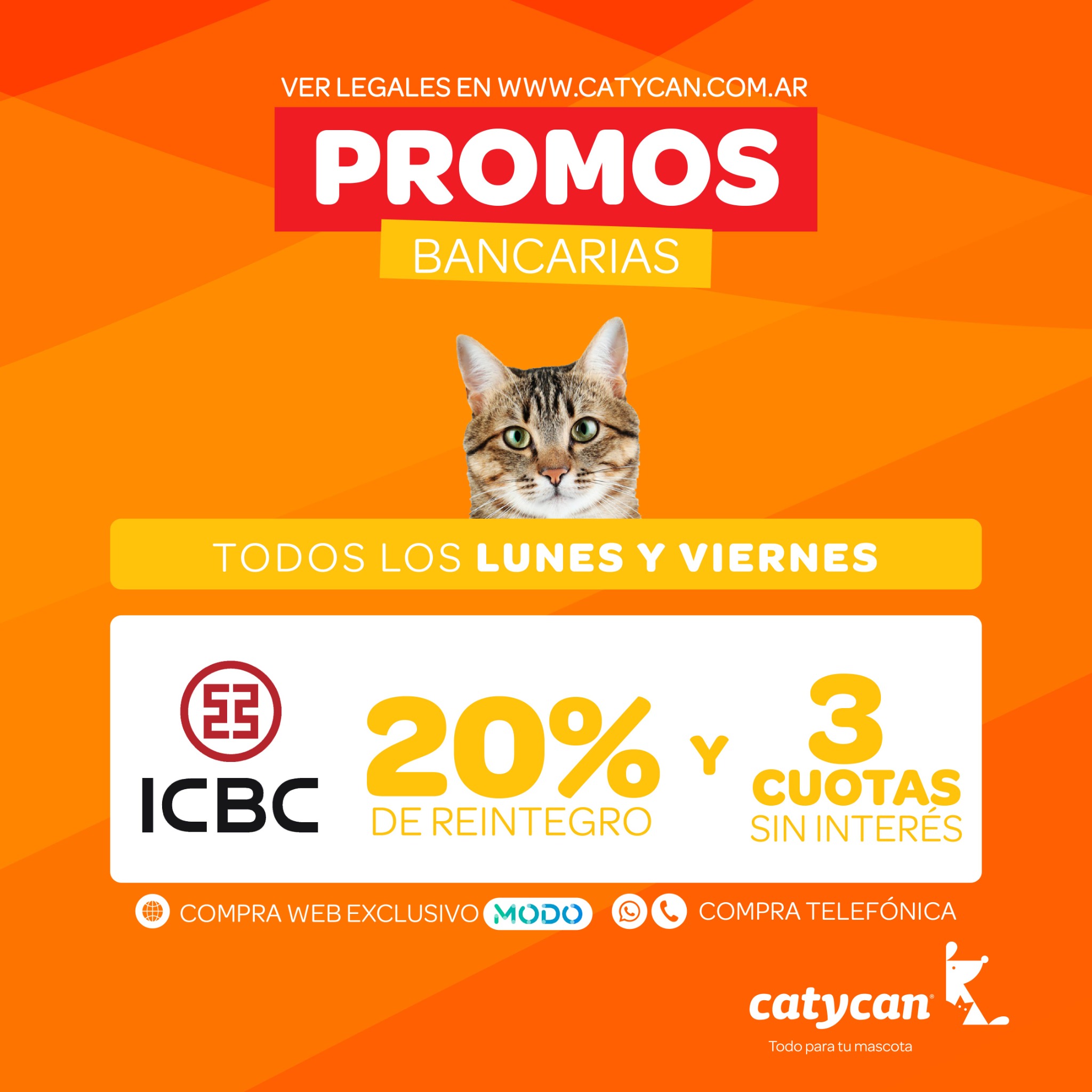 catycan.com Facebook ad