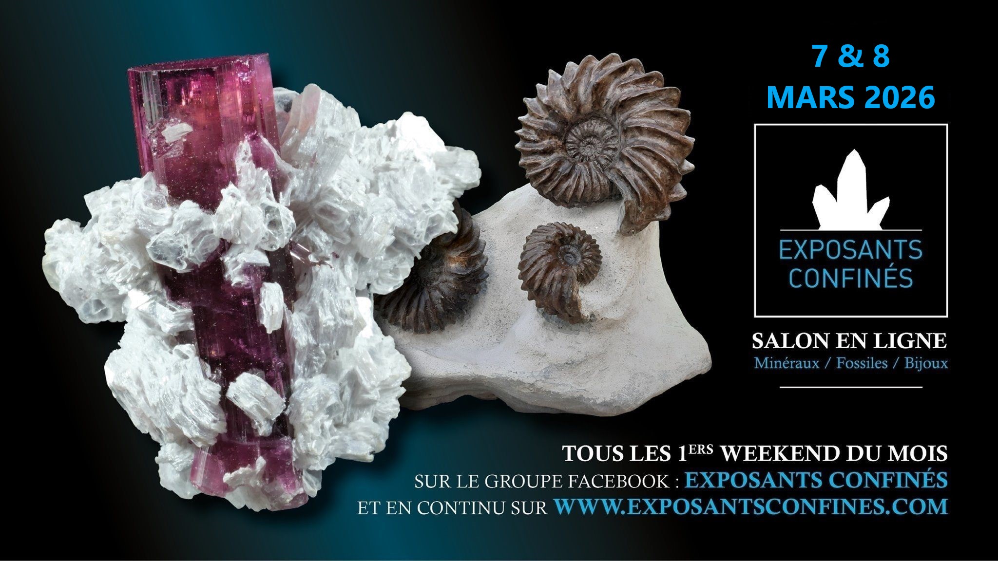 Exposants confinés Facebook ad