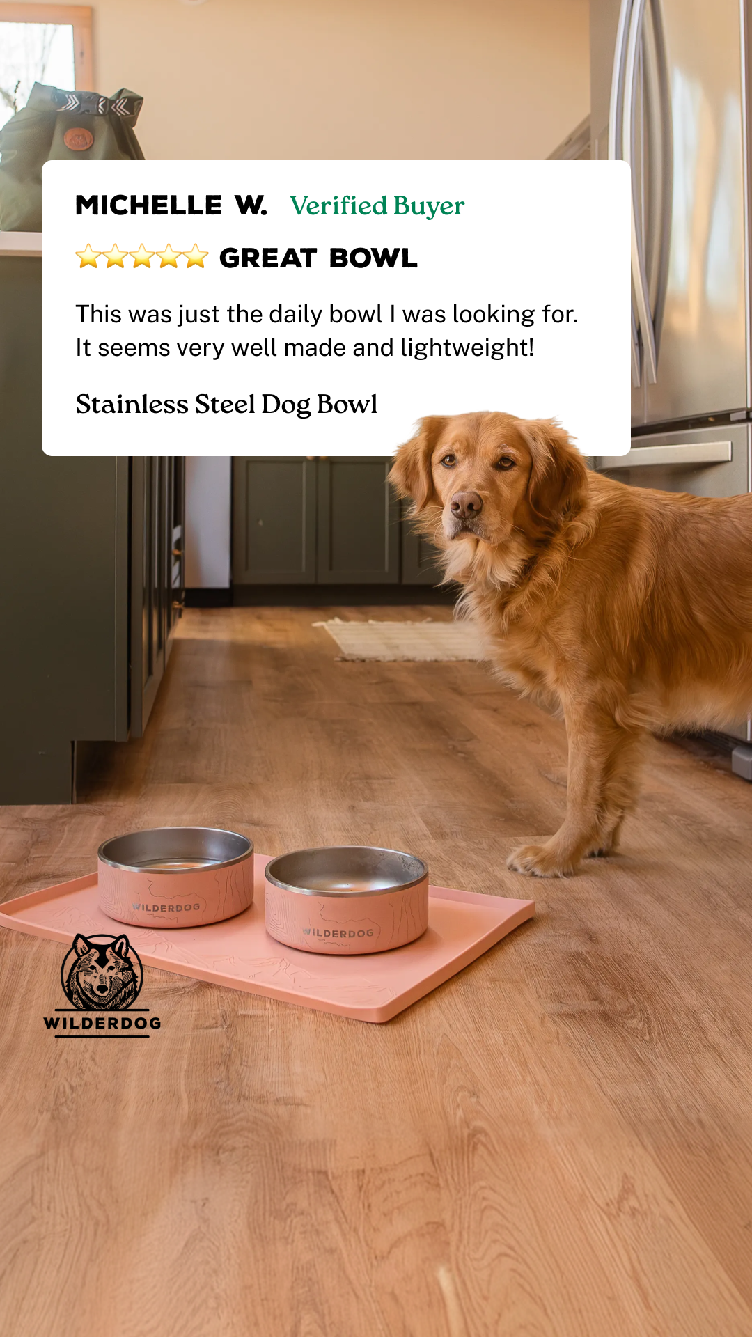 Wilderdog Facebook ad