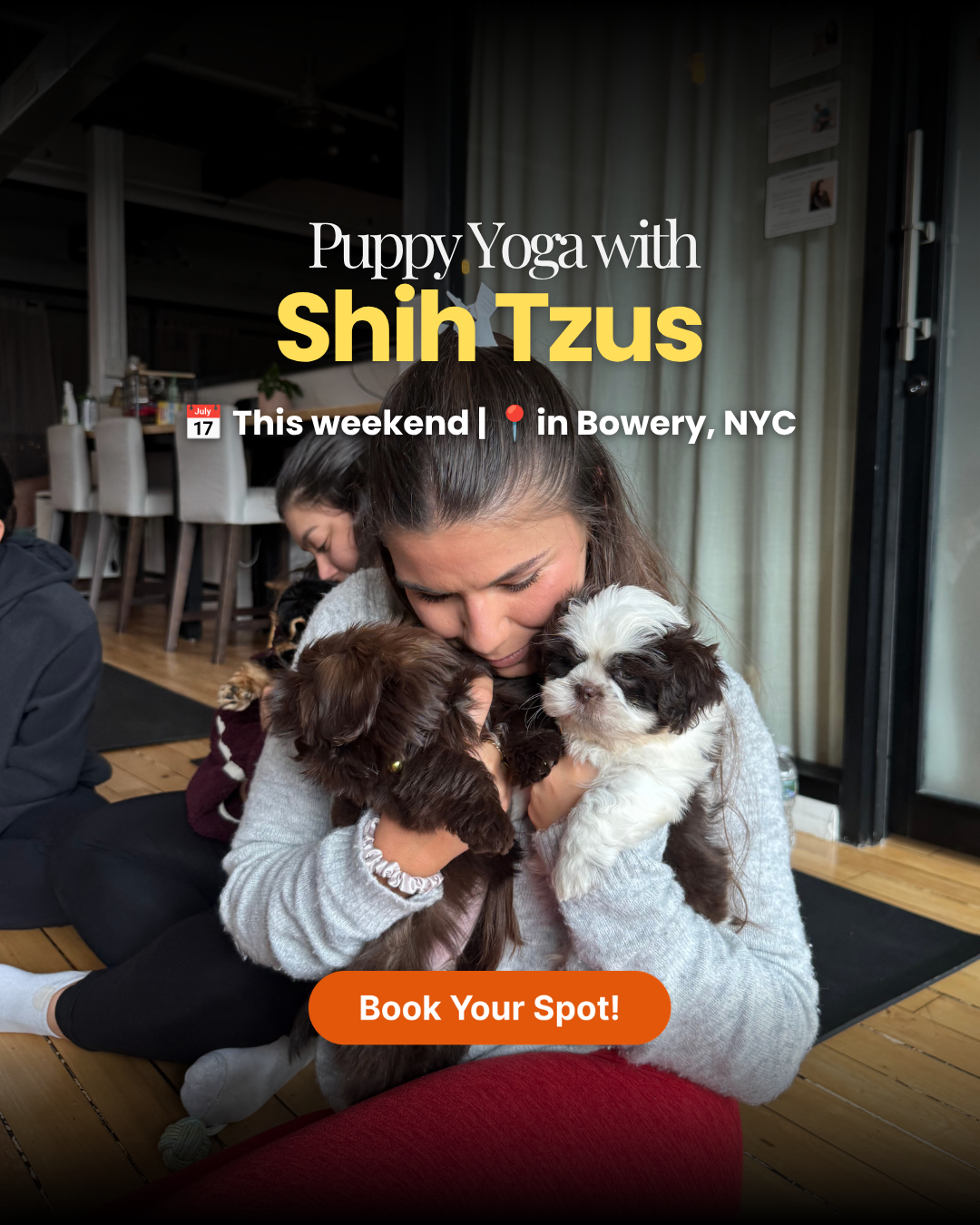 Puppy Yoga Club Facebook ad