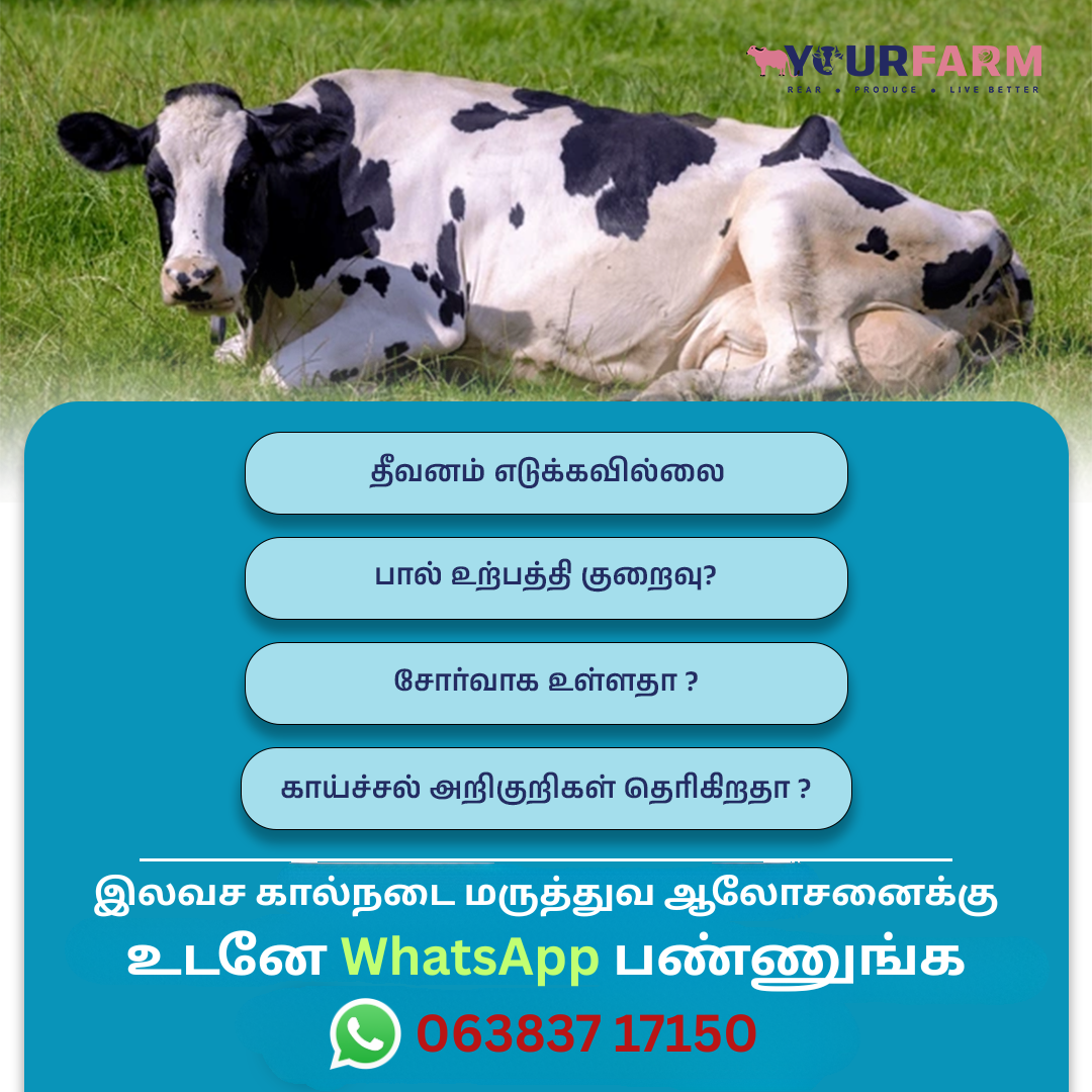 YourFarm AgriTech Facebook ad: மாடு எழ முடியாமல் படுத்துவிட்டதா?