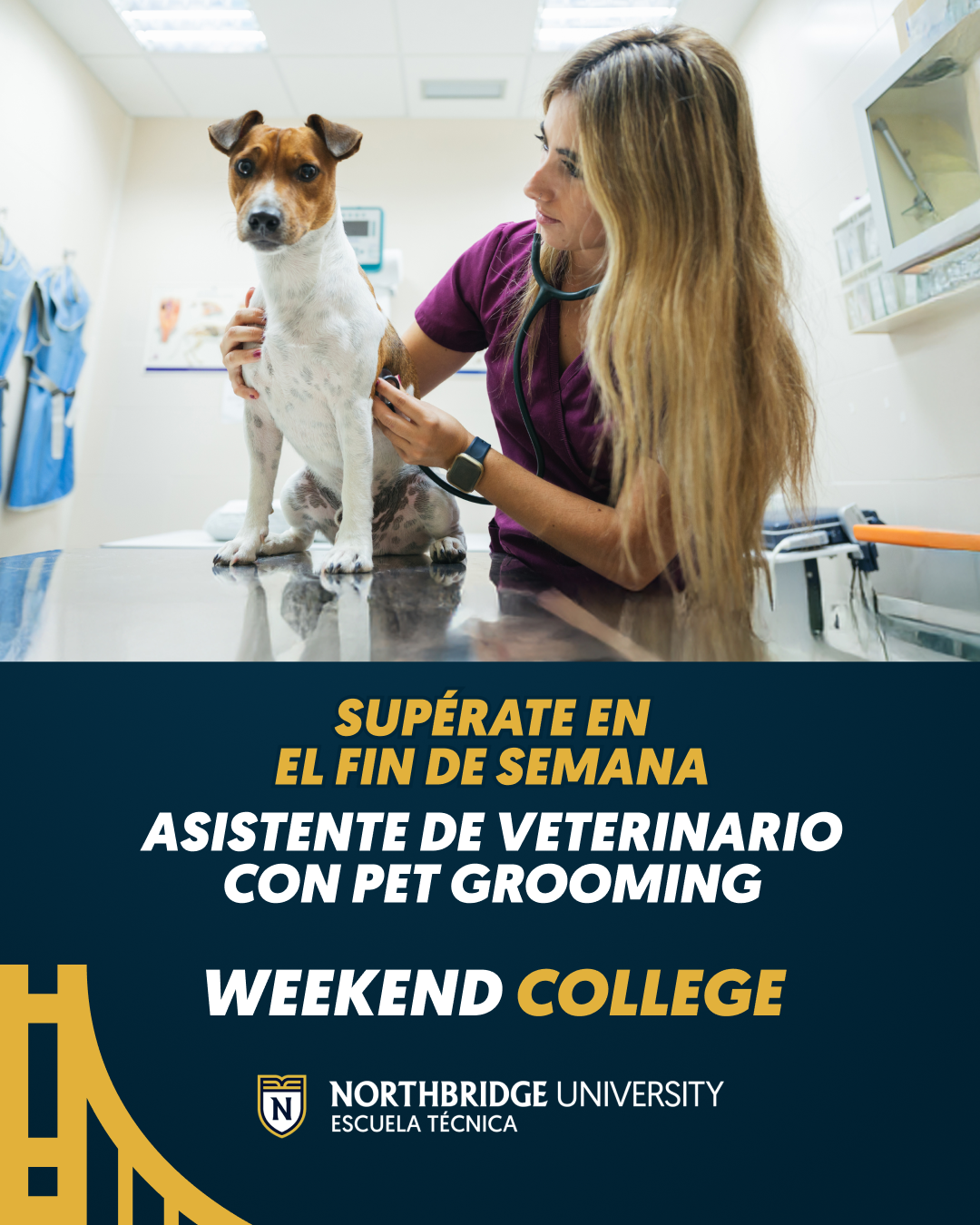 Northbridge University - Escuela Técnica Facebook ad