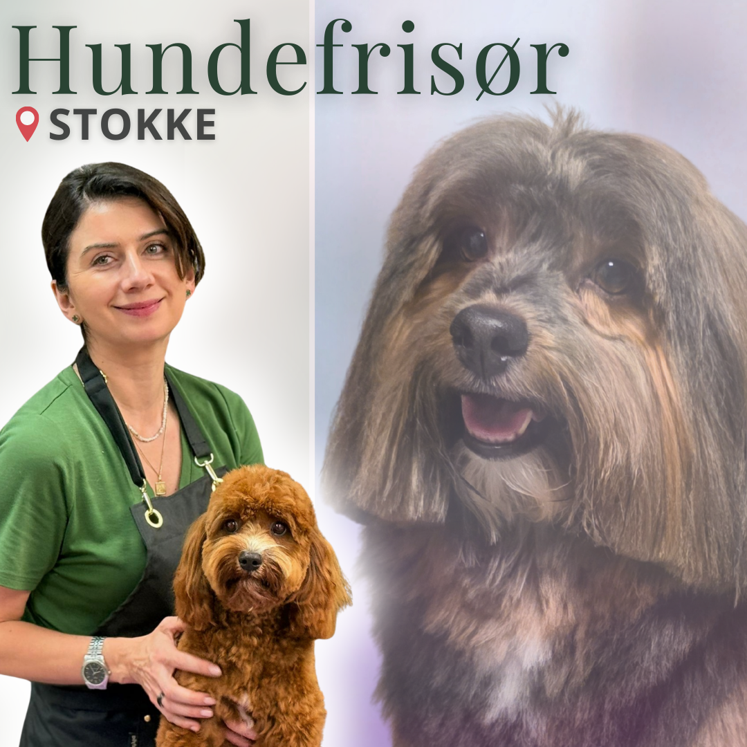 Voffin grooming Facebook ad: Sjekk ledig time >>>