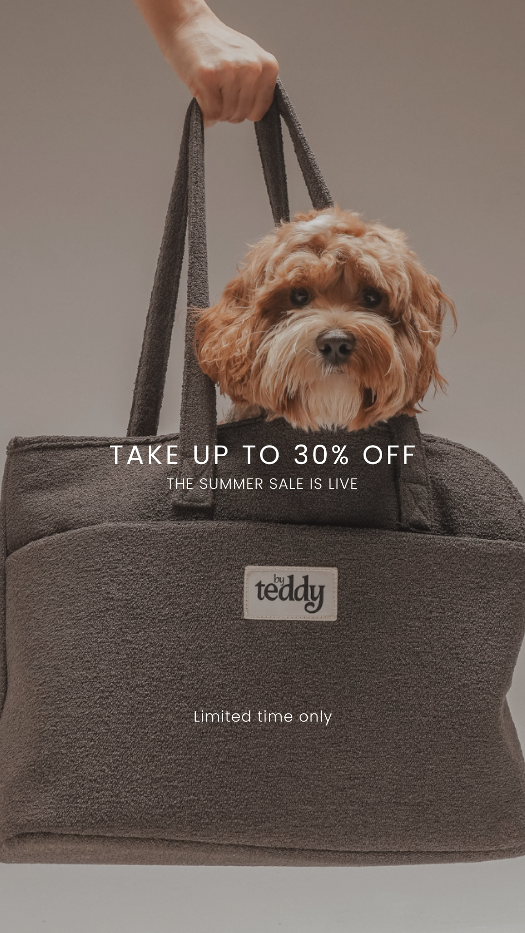 By Teddy Facebook ad