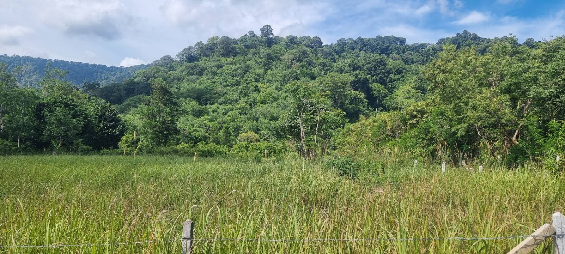 House88 Phuket Real Estate Facebook ad