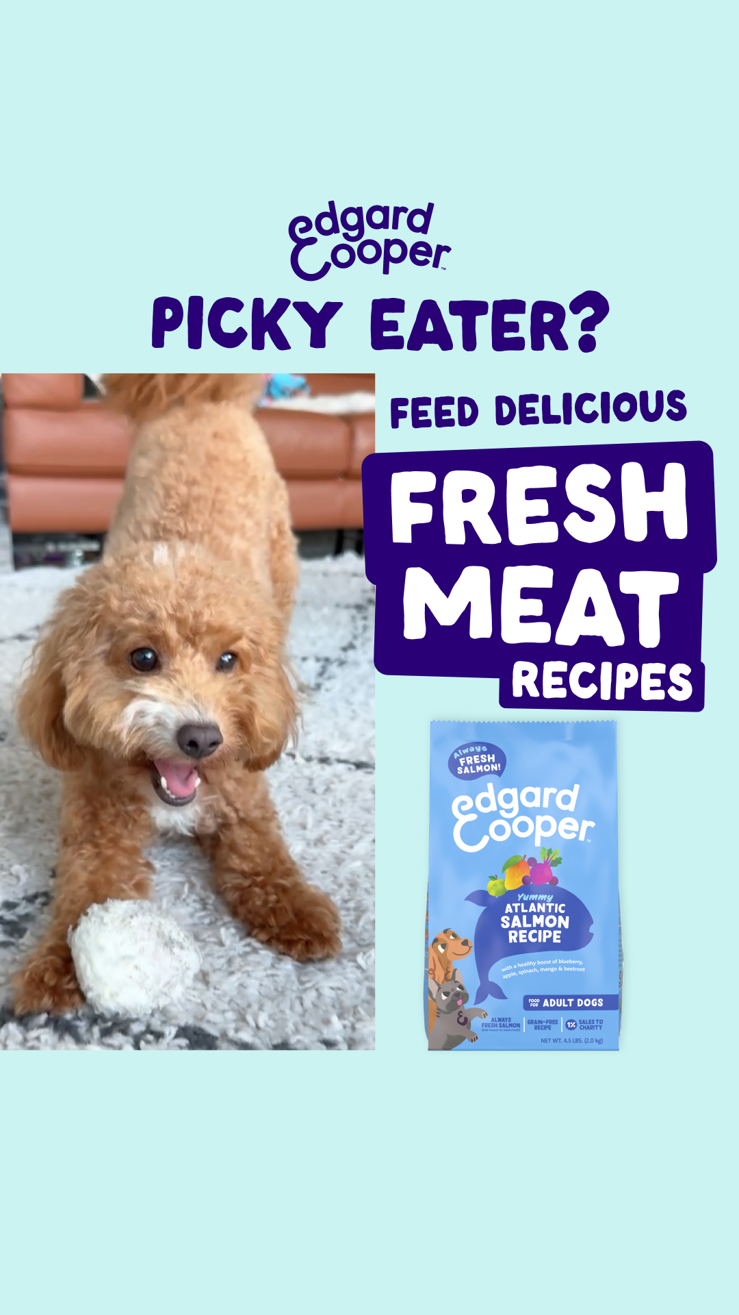 Edgard & Cooper Facebook ad from Feb 2, 2026