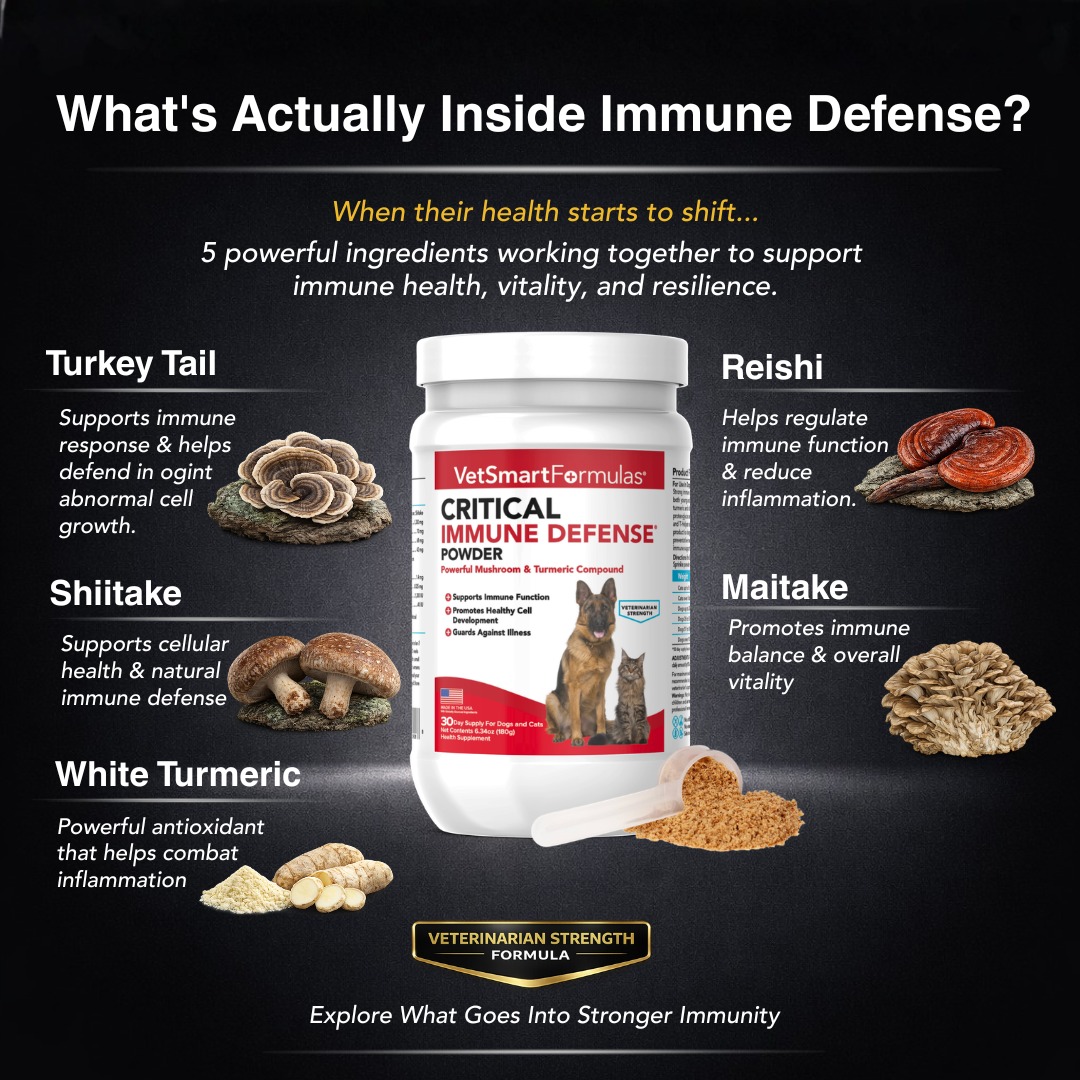 Pet Wellness Direct Facebook ad