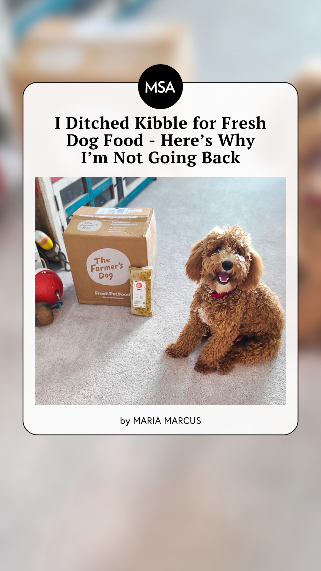 My Subscription Addiction Pets Facebook ad